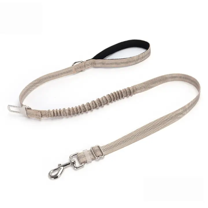 2-in-1 Dog Leash – Walking & Training Use_CWMM7611