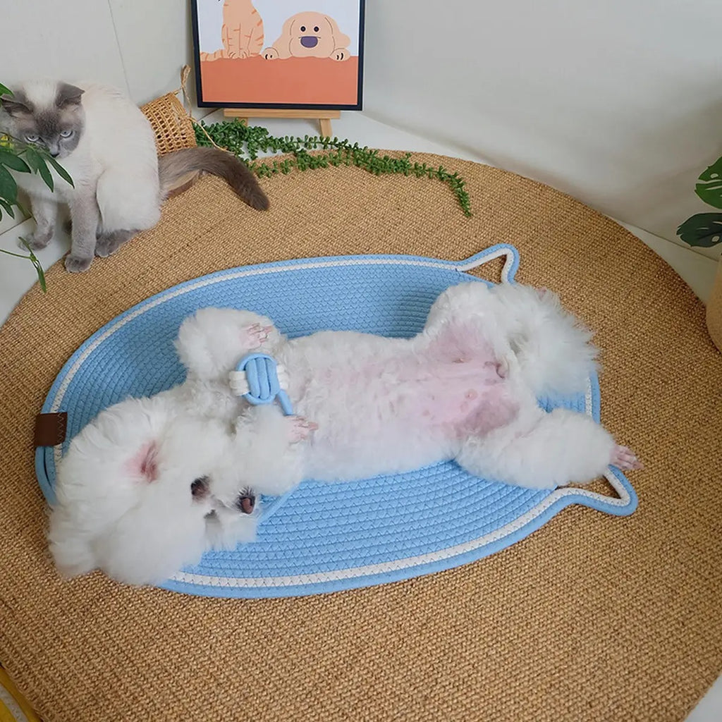 Oval Woven Cat Scratching Mat with Toy Ball_CWMM6566