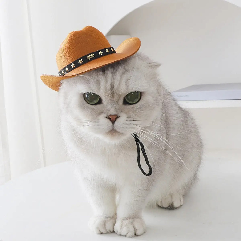 Cowboy Hat for Cats – Stylish Sun Hat for Persian_CWMM7262