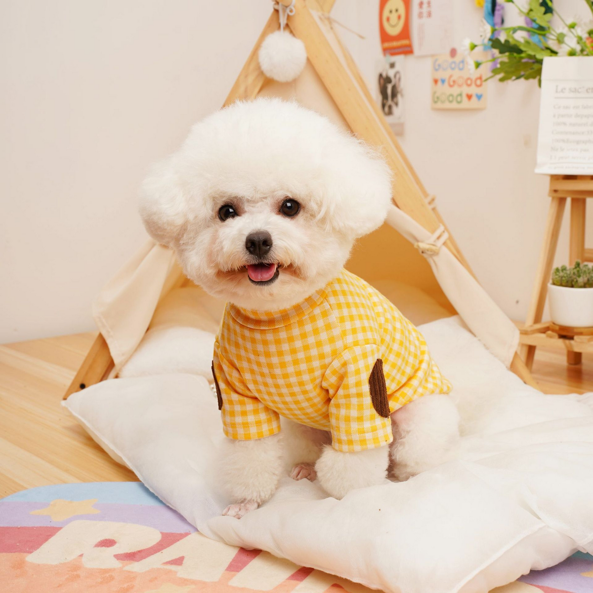 Style Pet Base Shirt – Warm Dog & Cat Wear_CWMM7353