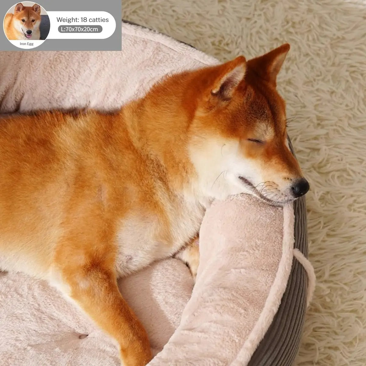 Deep Sleep Pet Bed – Thick, Soft & Four Seasons_CWMM7652