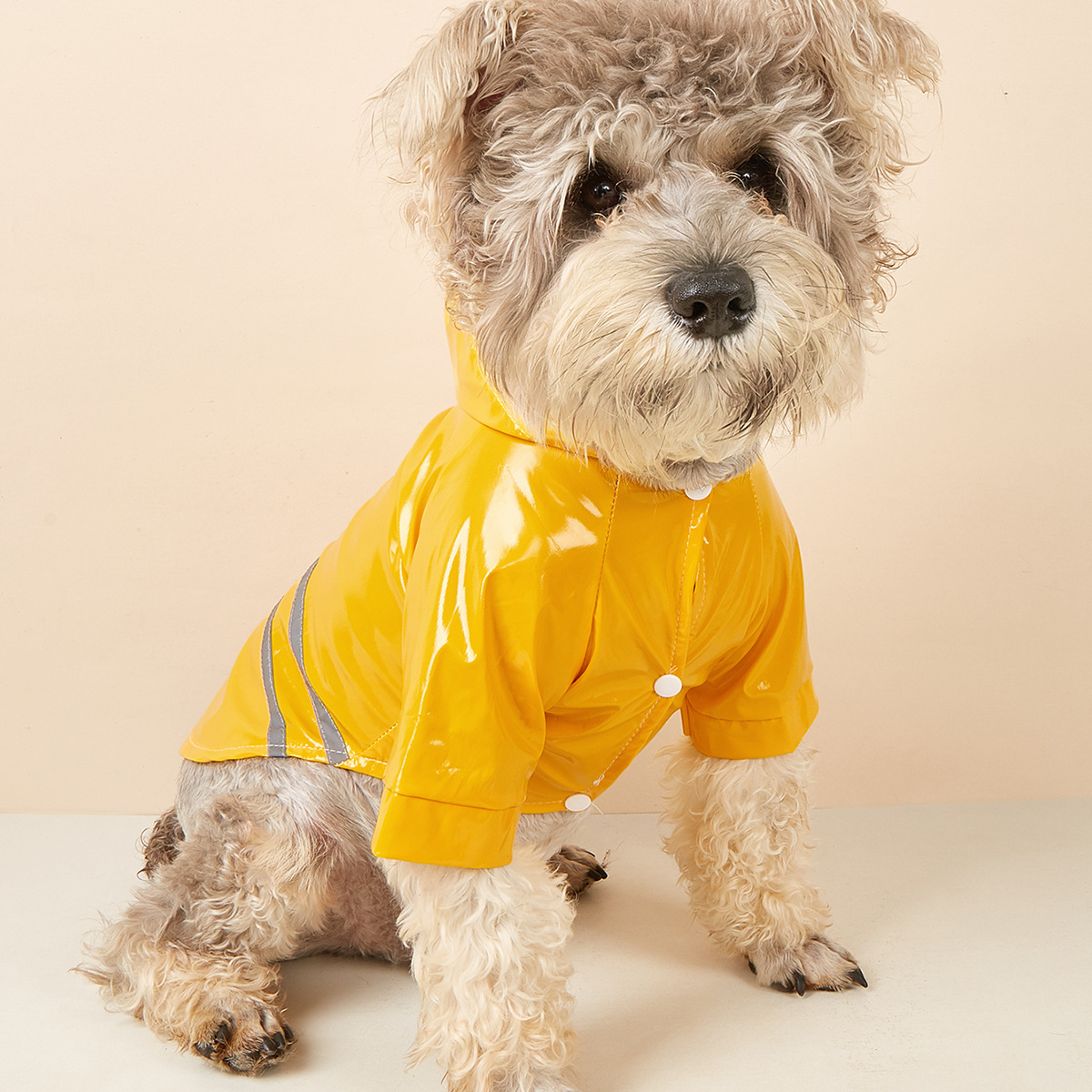 PU Dog Raincoat with Reflective Hood_CWMM7309