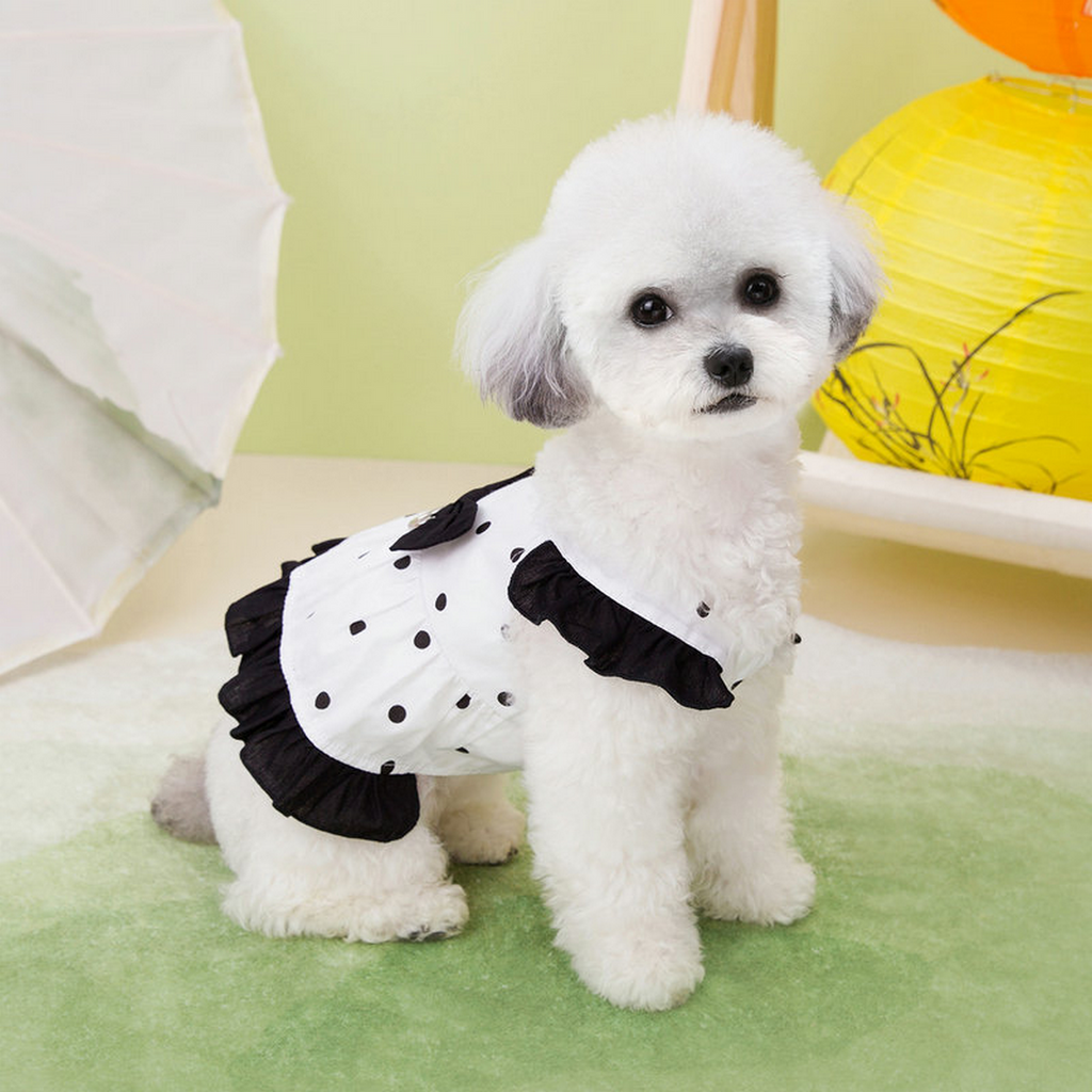 DotiePet Polka Dot Dress – Summer Dog Outfit_CWMM6987