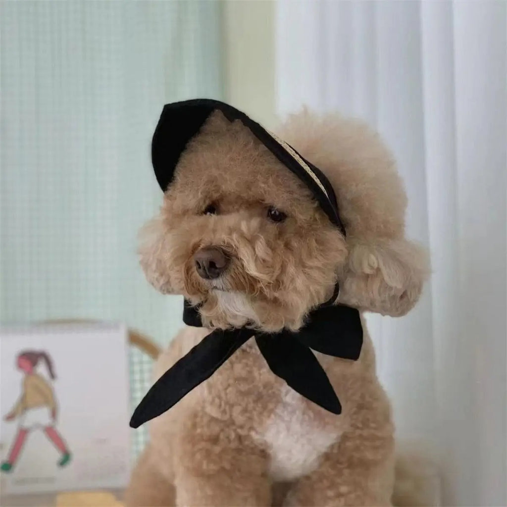 Adjustable Lace Sun Hat for Small Dogs & Cats_CWAH3712