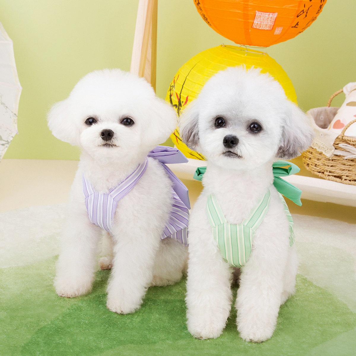 LeafyCharm Pet Dress Harness Set_CWMM6974