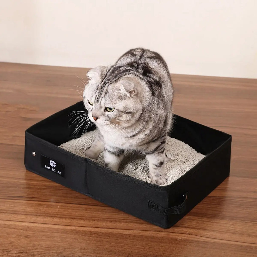 Foldable Oxford Cloth Cat Litter Box for Travel_CWMM6930