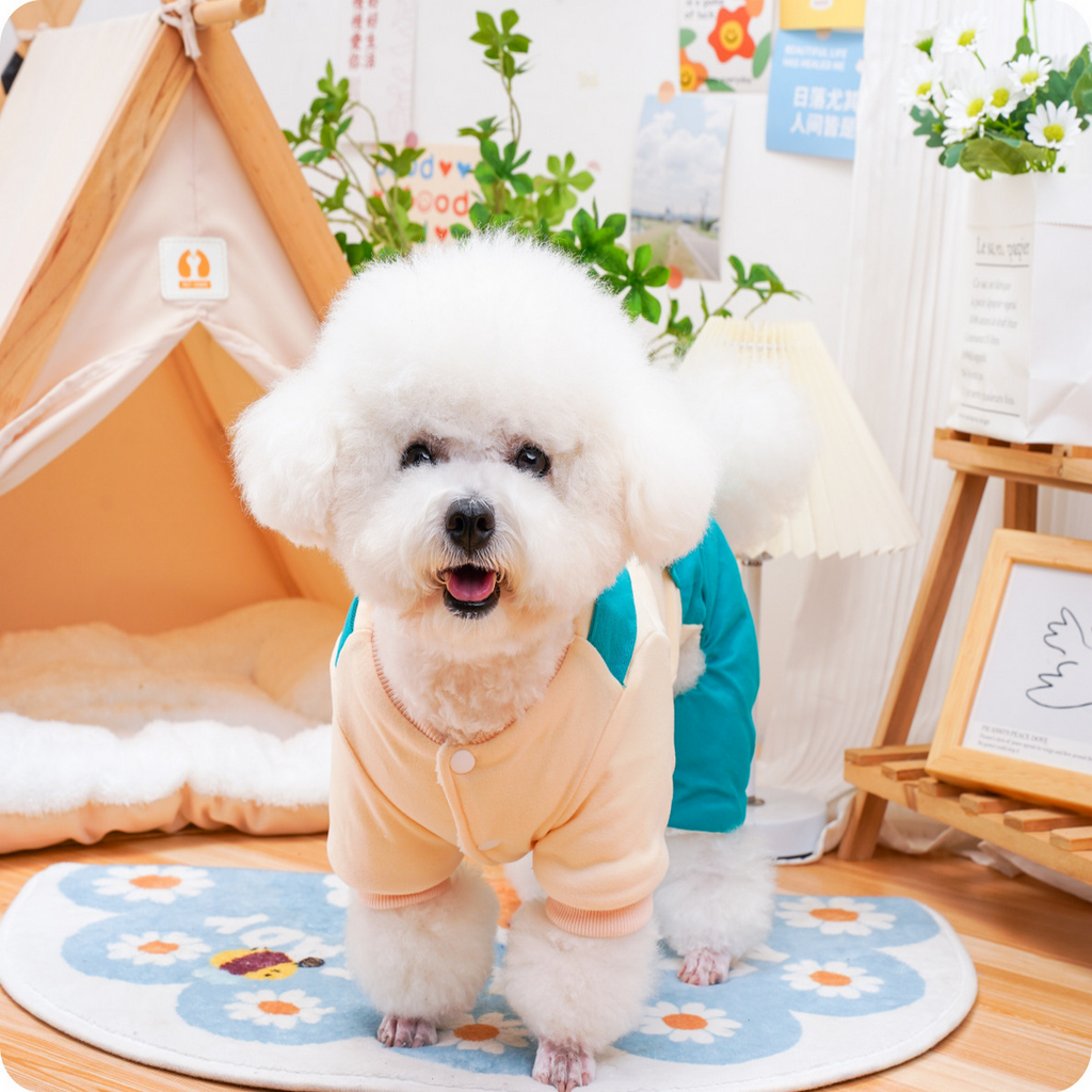 Denim Layered Pet Coat – 4-Leg Padded Jacket_CWMM7346