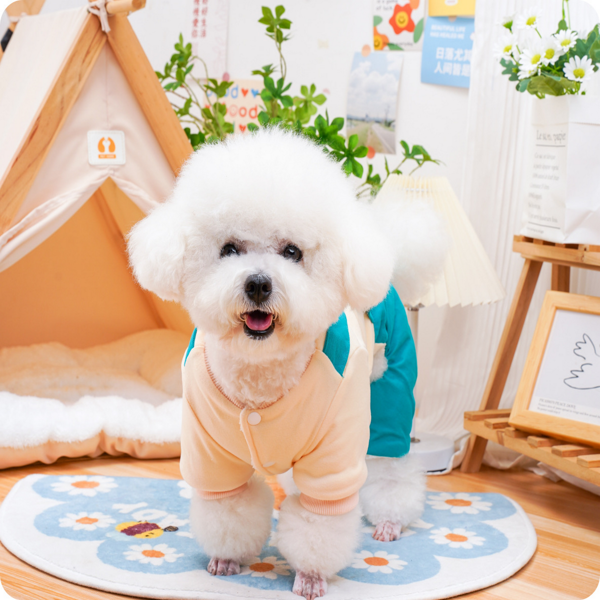 Denim Layered Pet Coat – 4-Leg Padded Jacket_CWMM7346