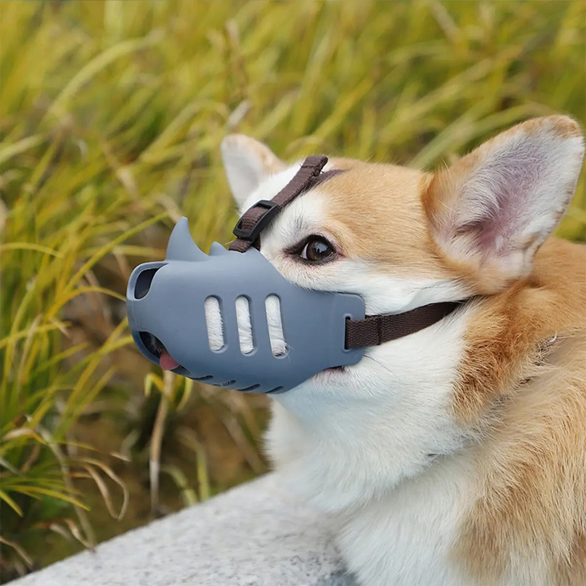 Dog Muzzle for Corgis & Shiba Inu-Anti-Bark & Bite_CWMM7264