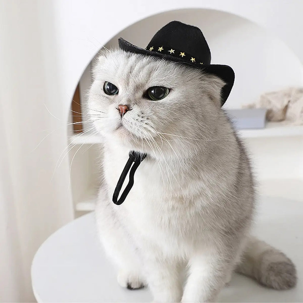Cowboy Hat for Cats – Stylish Sun Hat for Persian_CWMM7262