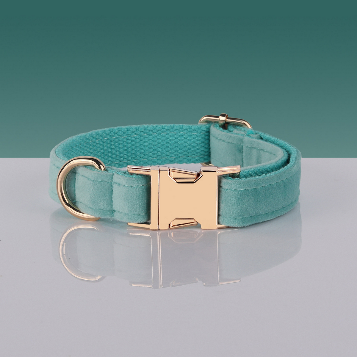 Insta-Chic Pet Collar for Medium Dogs_CWMM7076