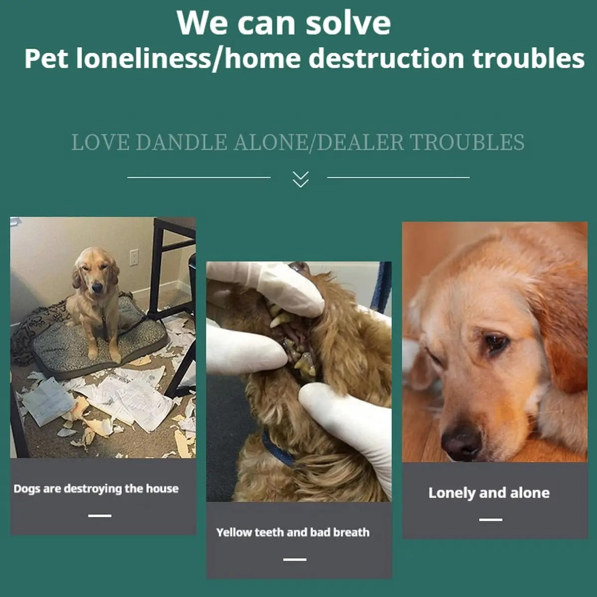 Crinkle Catnip Toy – Interactive & Fun for Kittens_CWMM5402