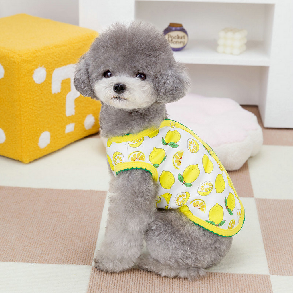 BreezyPet Mesh Vest for Dogs & Cats_CWMM6977