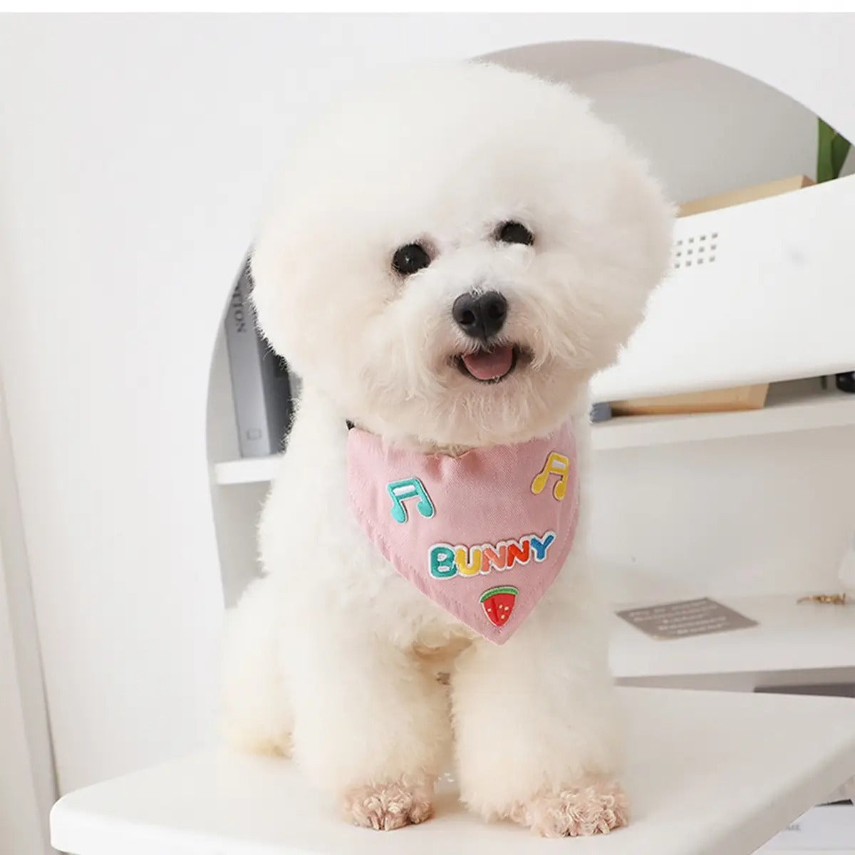 Dog Bandana Bib – Embroidered Bunny Scarf Collar_CWMM7258