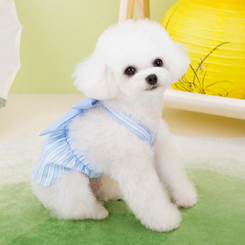 LeafyCharm Pet Dress Harness Set_CWMM6974