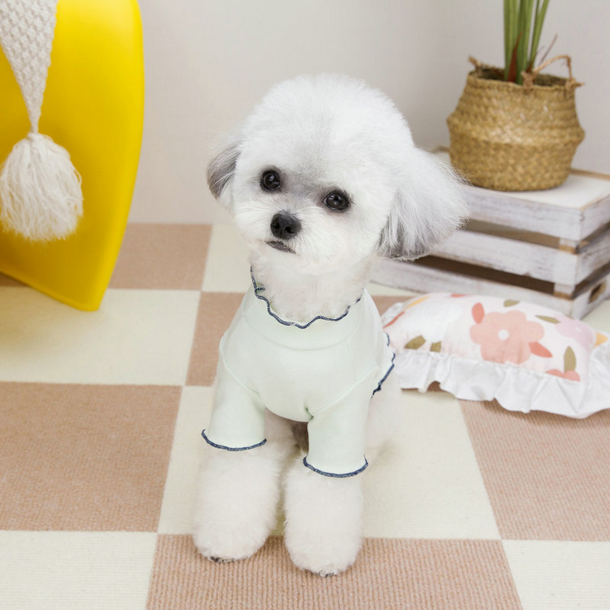 PawMelon Pet Tee – Cute Fruit Print Shirt_CWMM6988