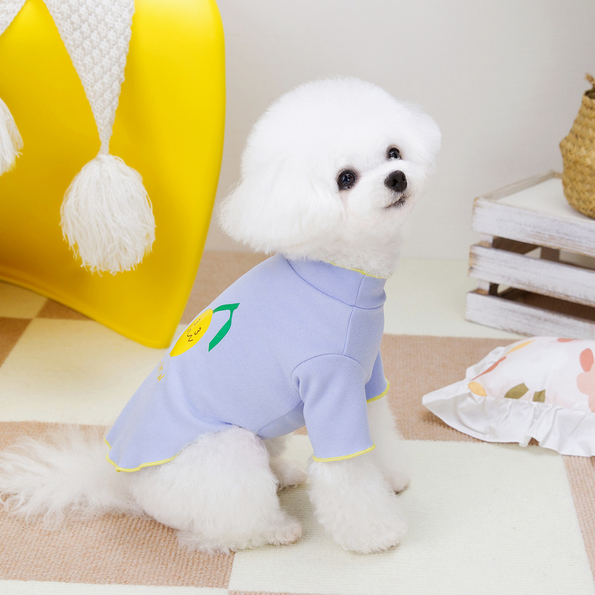 PawMelon Pet Tee – Cute Fruit Print Shirt_CWMM6988