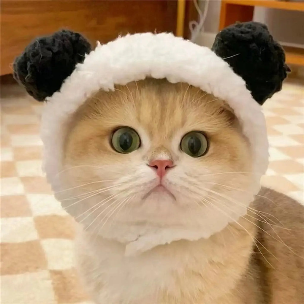 Cute Panda Bear Hat for Cats and Small Dogs_CWAH3695