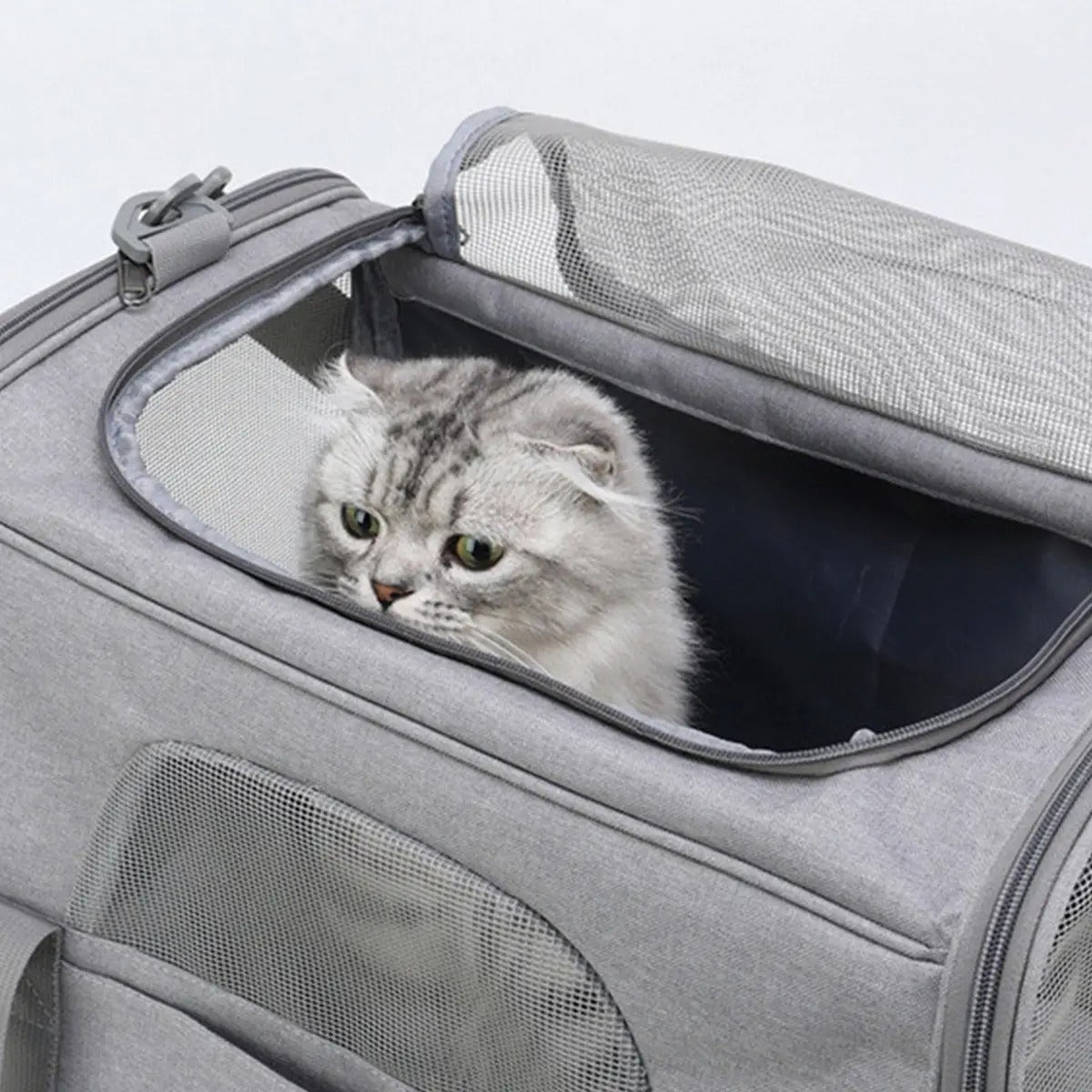 Breathable Pet Sling Bag for Travel & Outdoor_CWMM5989