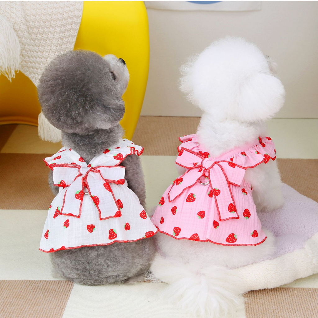 FloralPaw Princess Dress – Spring Pet Outfit_CWMM6984
