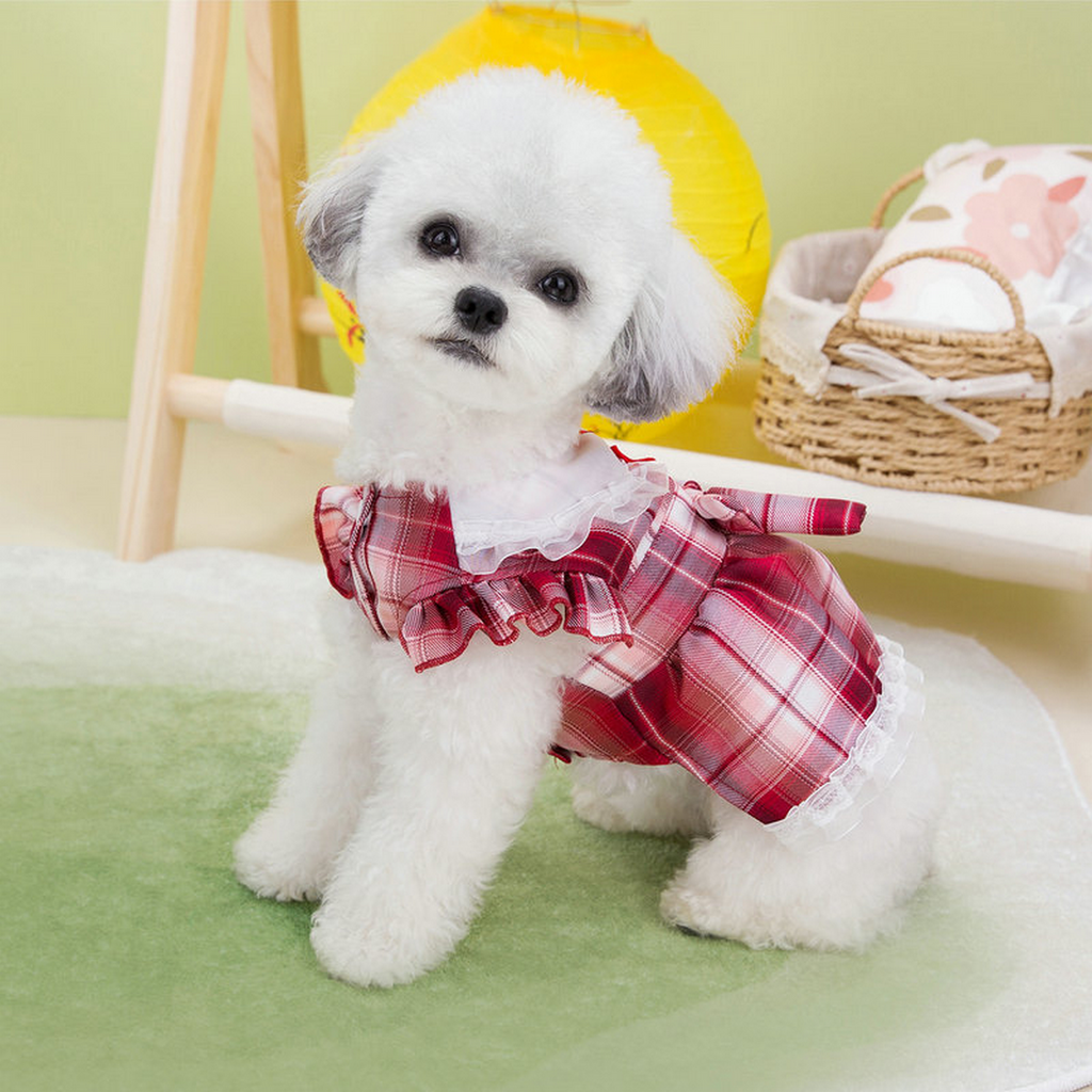 KawaiiPet JK Uniform Dress – Summer Pet Outfit_CWMM6983