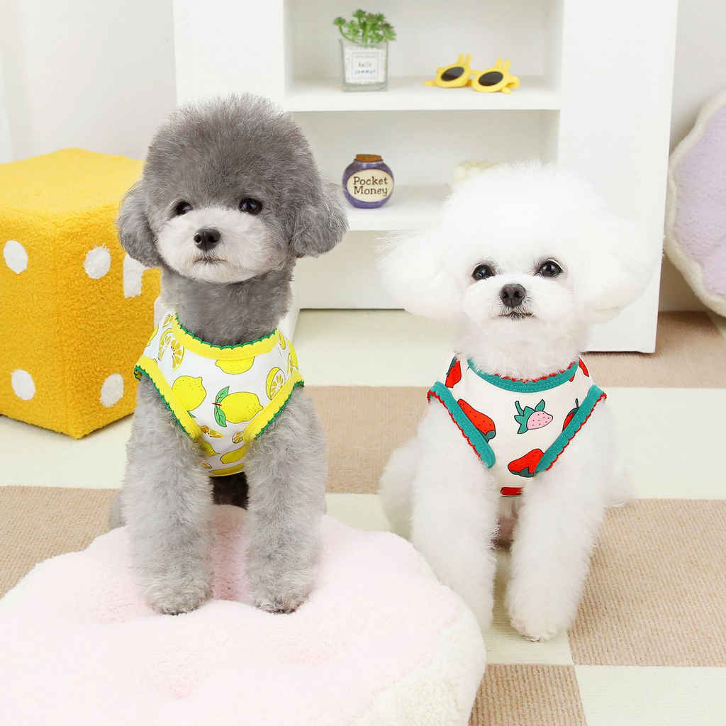 BreezyPet Mesh Vest for Dogs & Cats_CWMM6977