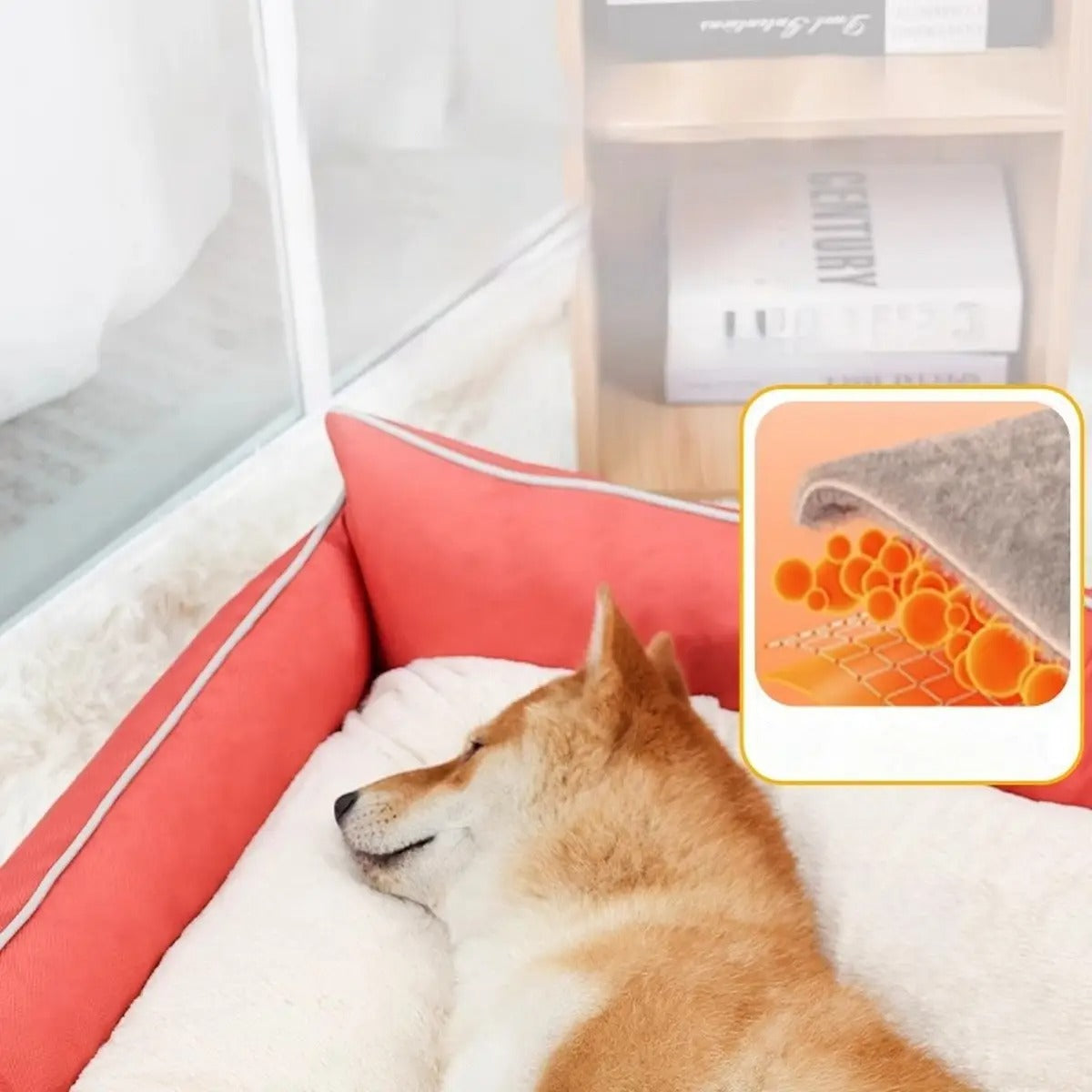 Antibacterial Dog Bed – Washable & All-Season_CWASC2584