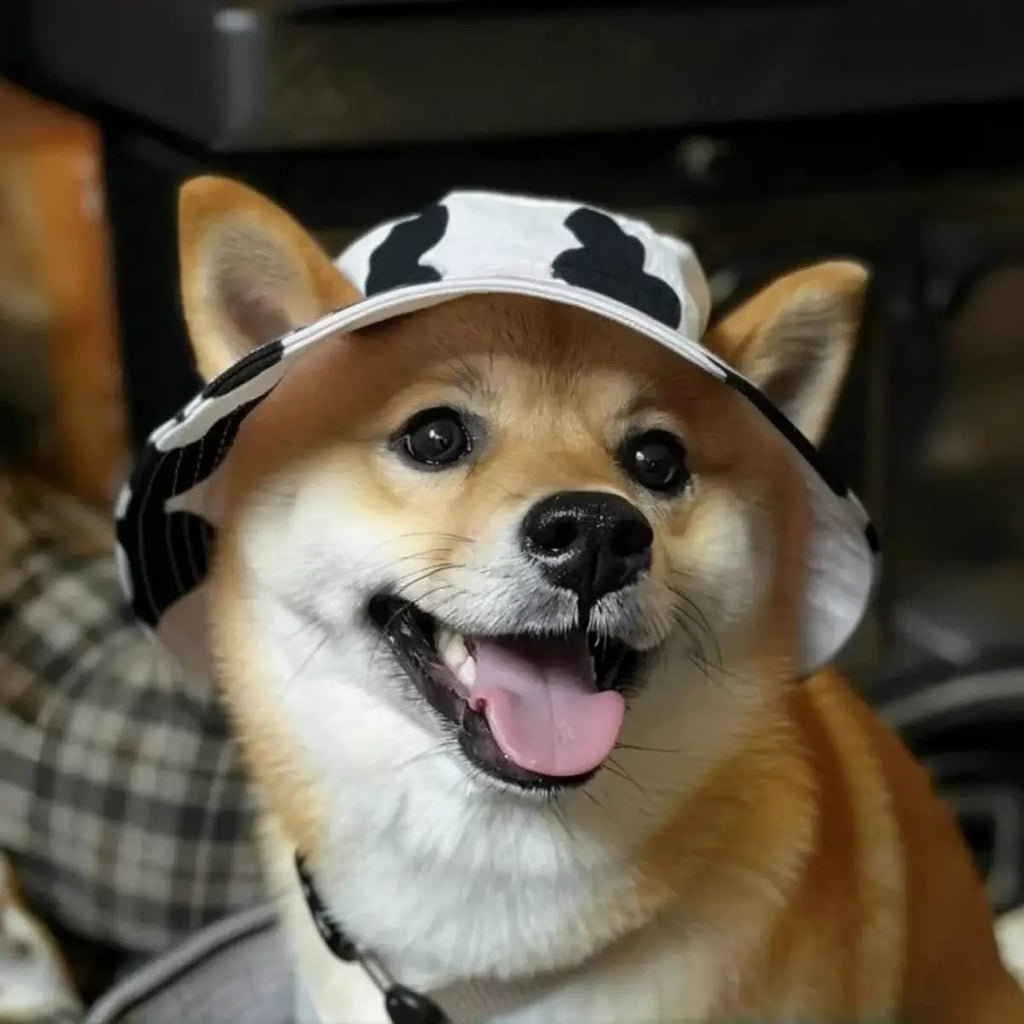 Cute Pet Sun Hat with Ear Holes for Cats & Dogs_CWMM6289