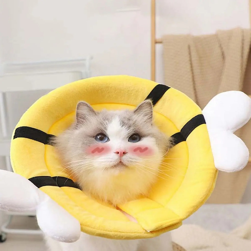 Elizabeth Collar for Cats – Double cotton yarn_CWMM7266