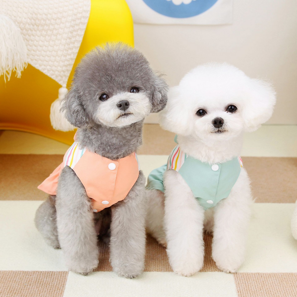 BunnyBelle Pet Dress – Square Neck Design_CWMM6980