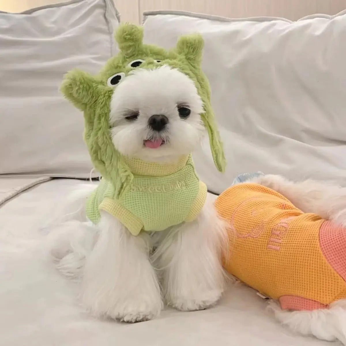 Cute Panda Bear Hat for Cats and Small Dogs_CWAH3695