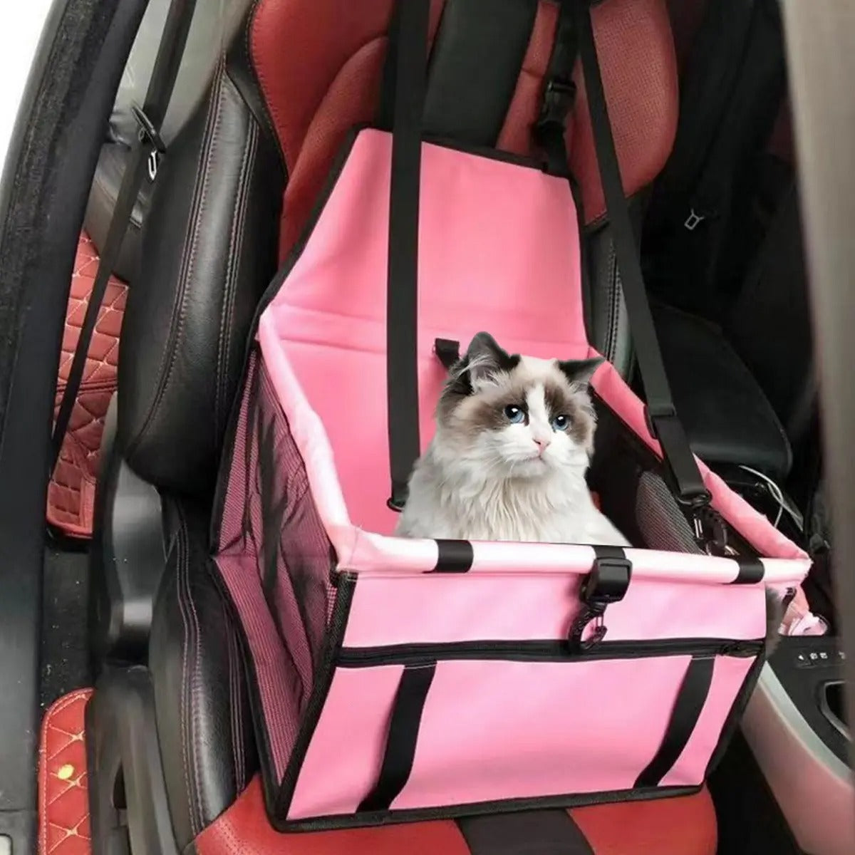 Car Pet Seat Carrier for Cats & Dog_CWMM6034