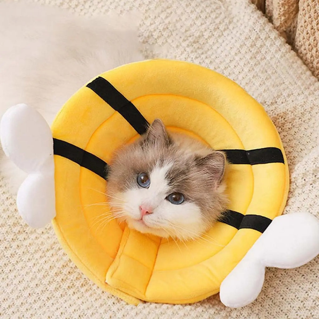 Elizabeth Collar for Cats – Double cotton yarn_CWMM7266