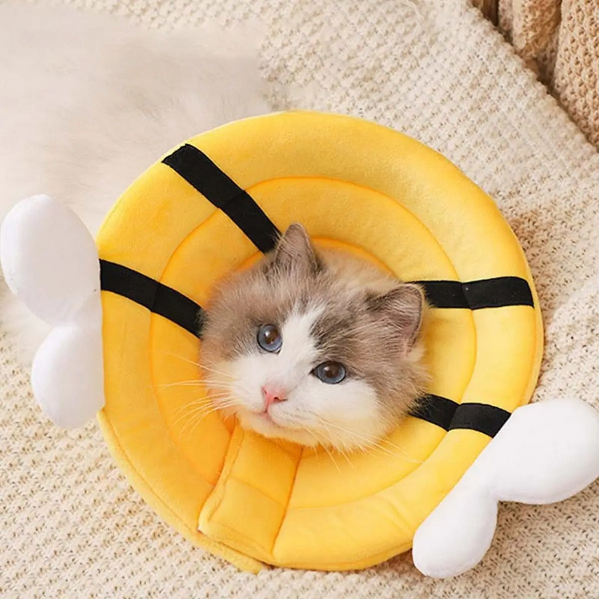 Elizabeth Collar for Cats – Double cotton yarn_CWMM7266