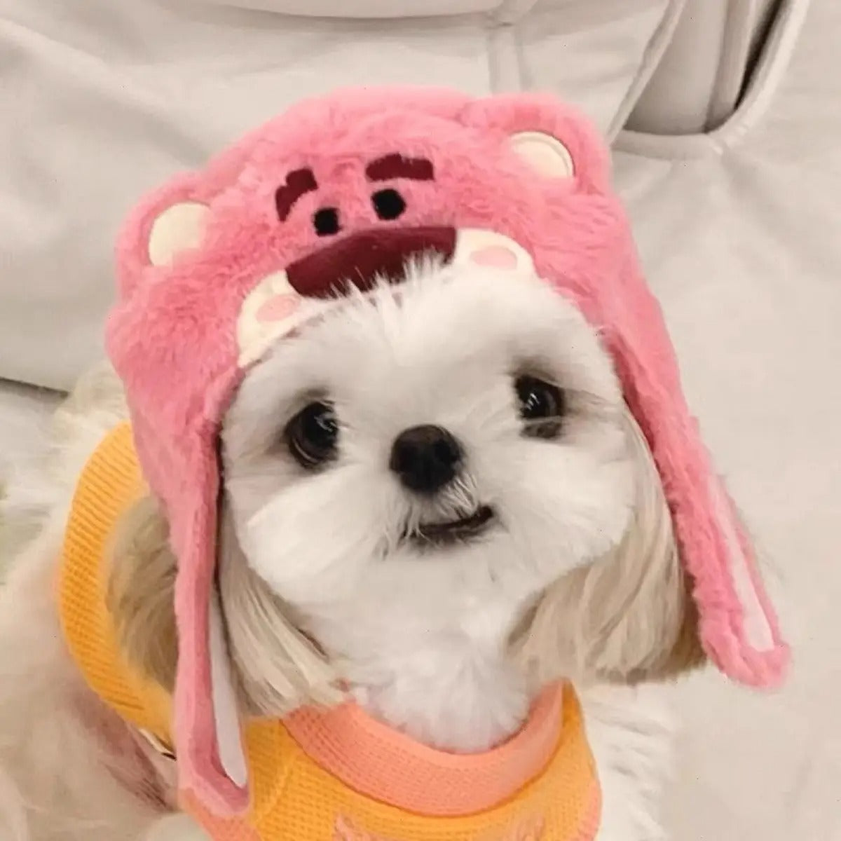 Cute Panda Bear Hat for Cats and Small Dogs_CWAH3695