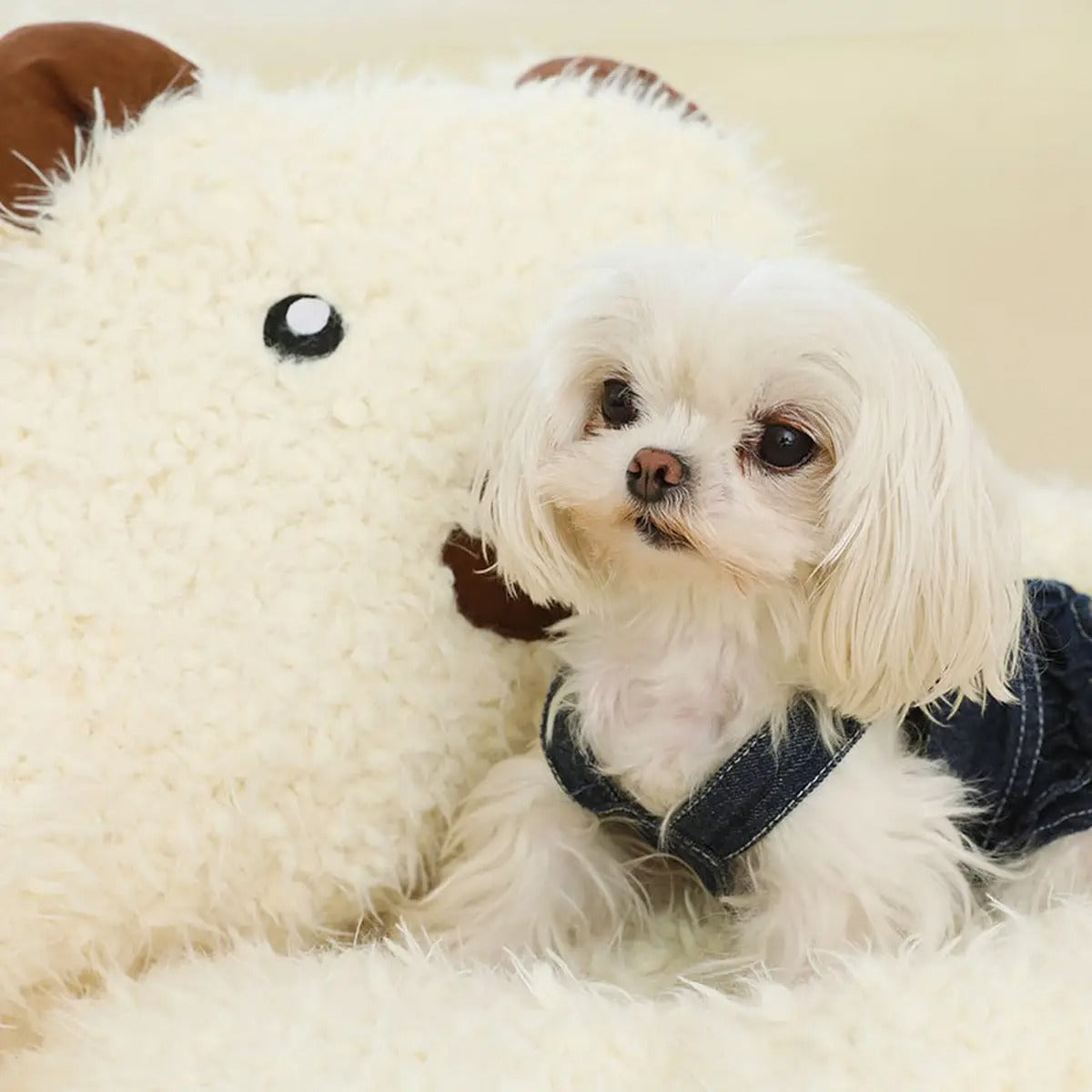 Alpaca Plush Pet Bed, Non-slip, With Backrest_CWMM5267