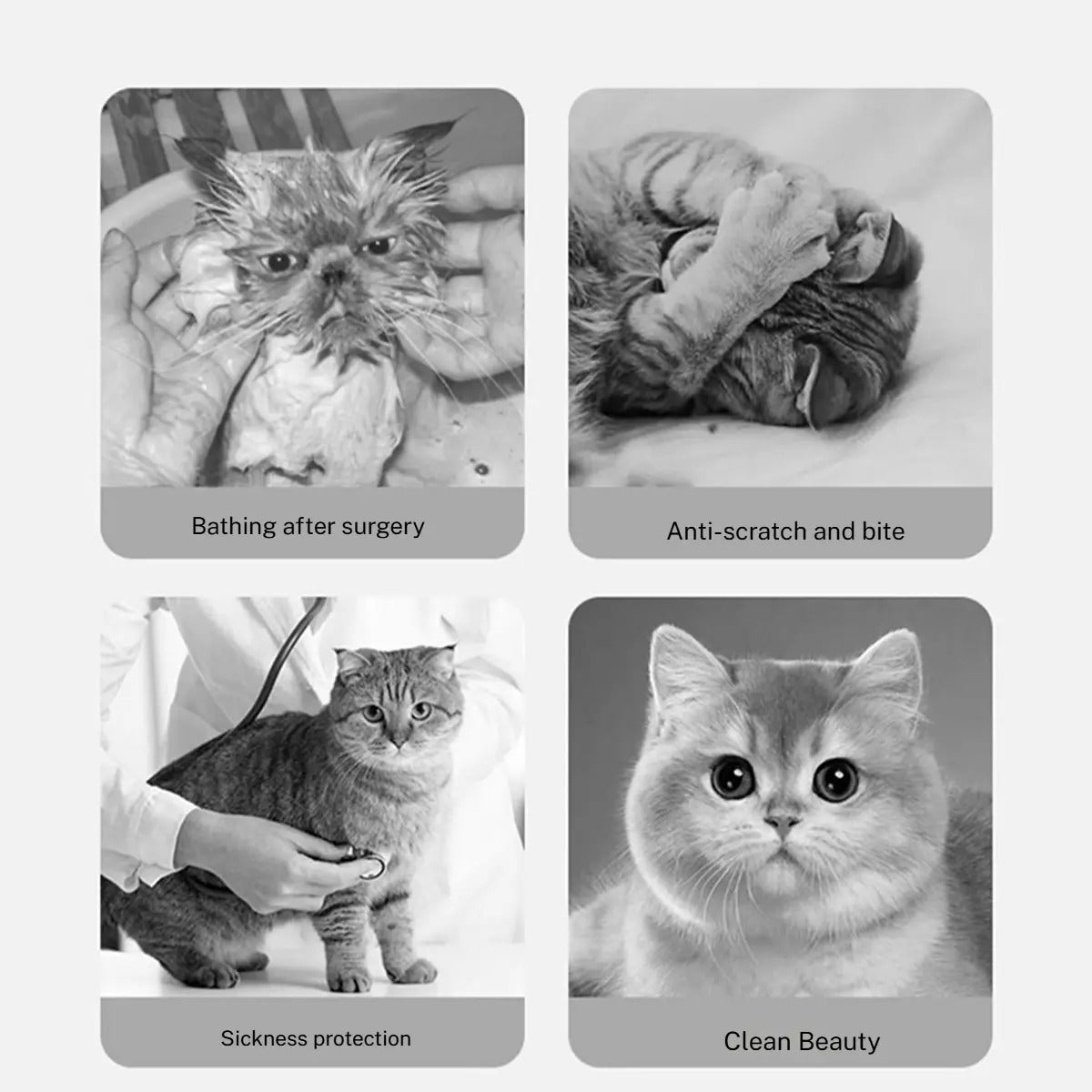 Elizabeth Collar for Cats – Double cotton yarn_CWMM7266