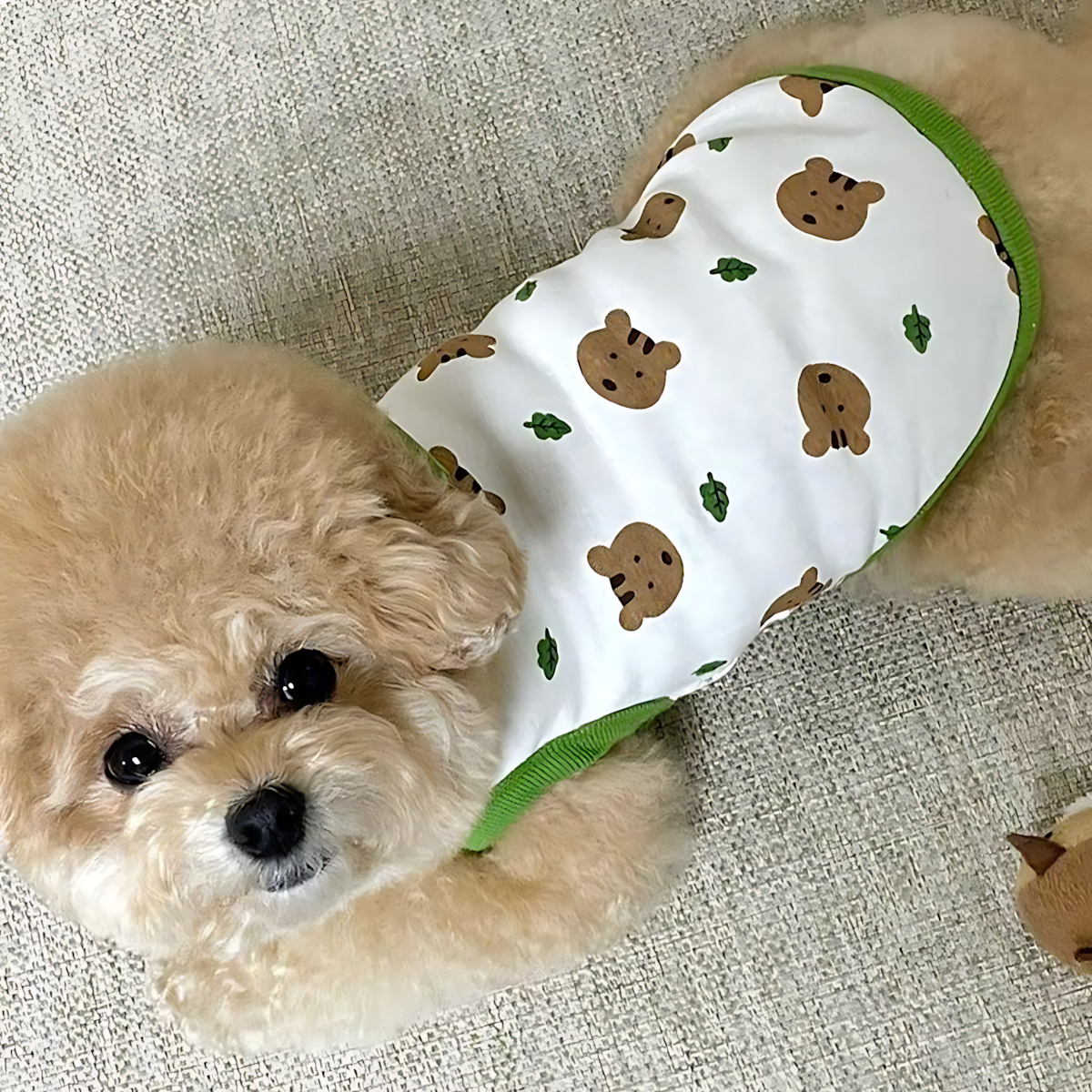Autumn Cozy Dog Vest for Small Breeds_CWMM5847