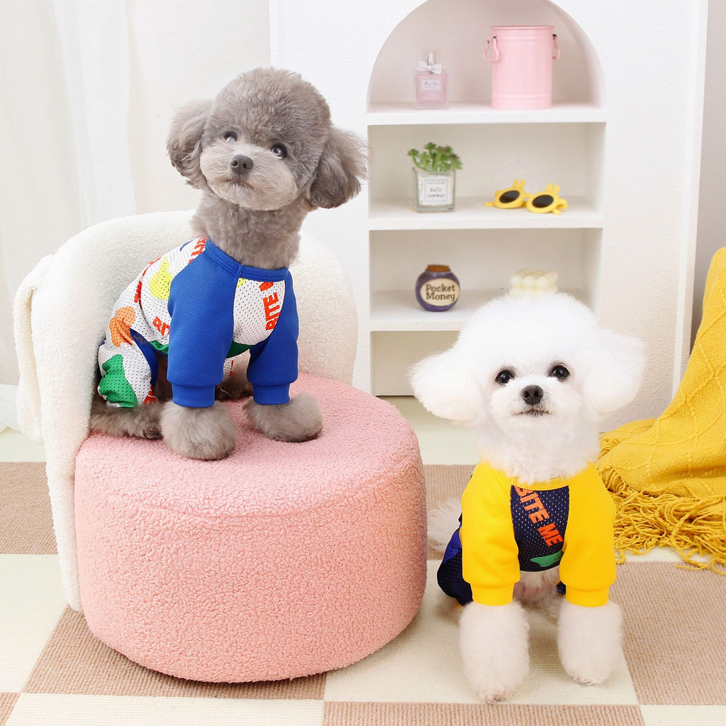 BreezyMesh Pet Jumpsuit – 4-Leg Summer Suit_CWMM6989