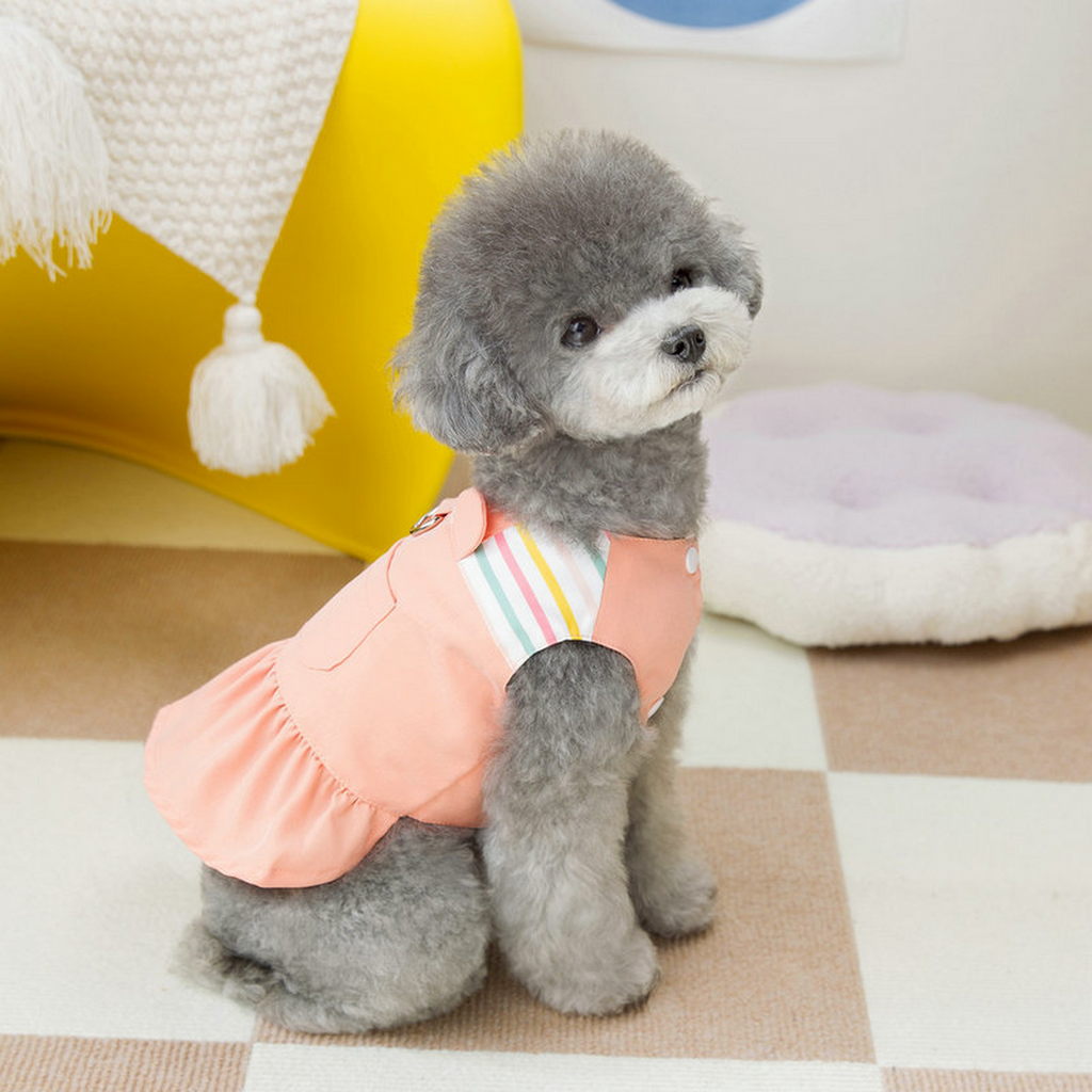BunnyBelle Pet Dress – Square Neck Design_CWMM6980