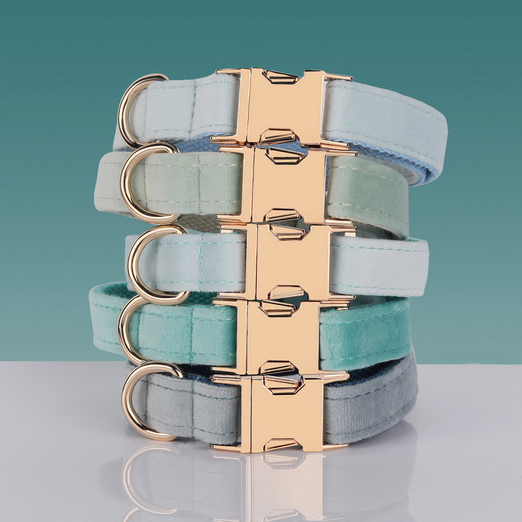 Insta-Chic Pet Collar for Medium Dogs_CWMM7076