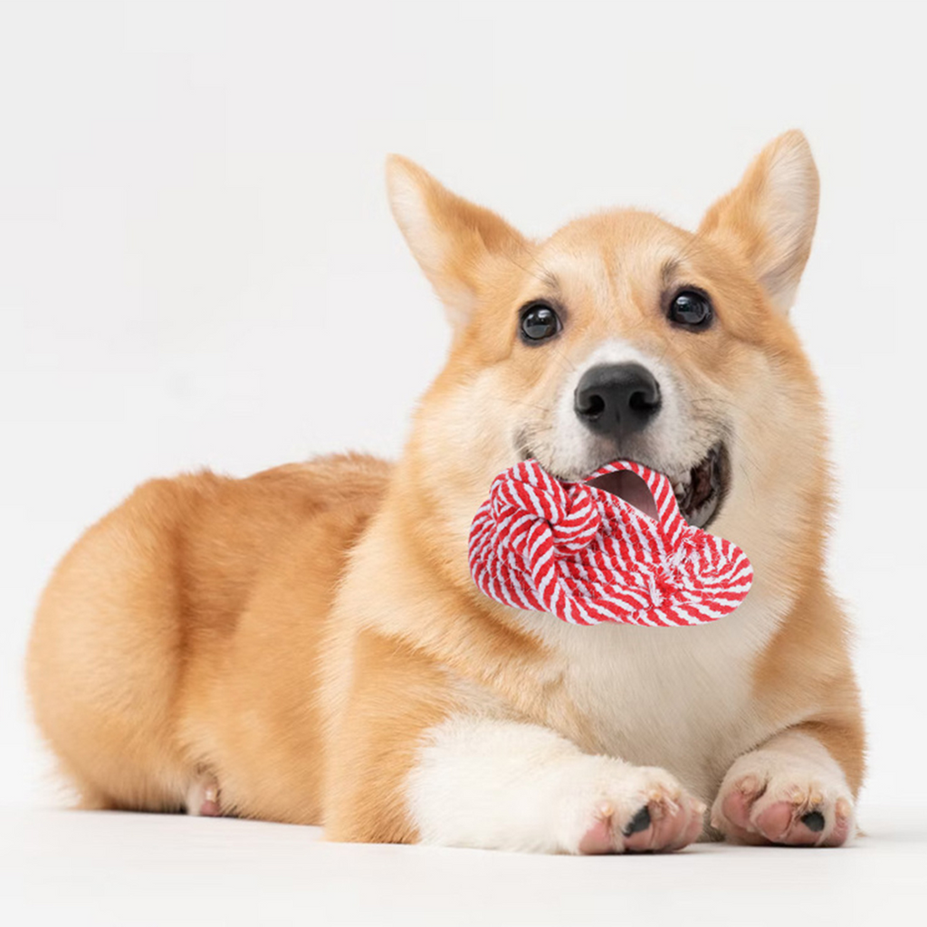 Candy Color Rope Dog Toy – Slipper Design_CWMM8029