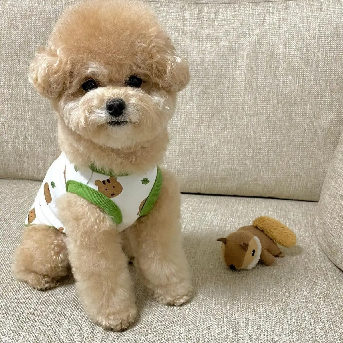 Autumn Cozy Dog Vest for Small Breeds_CWMM5847