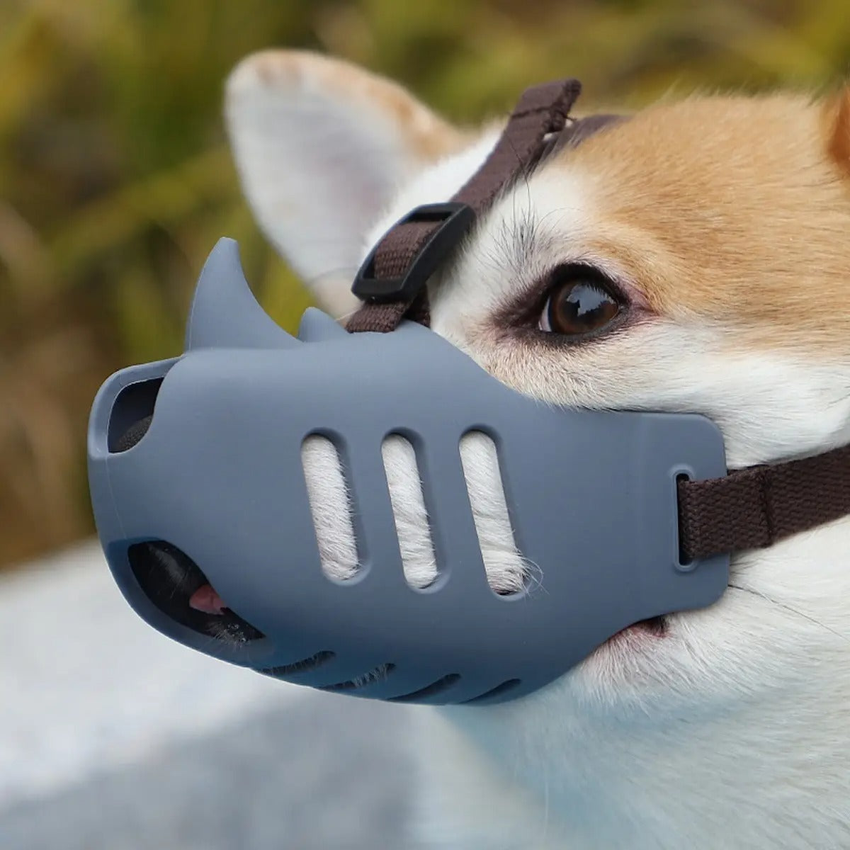 Dog Muzzle for Corgis & Shiba Inu-Anti-Bark & Bite_CWMM7264