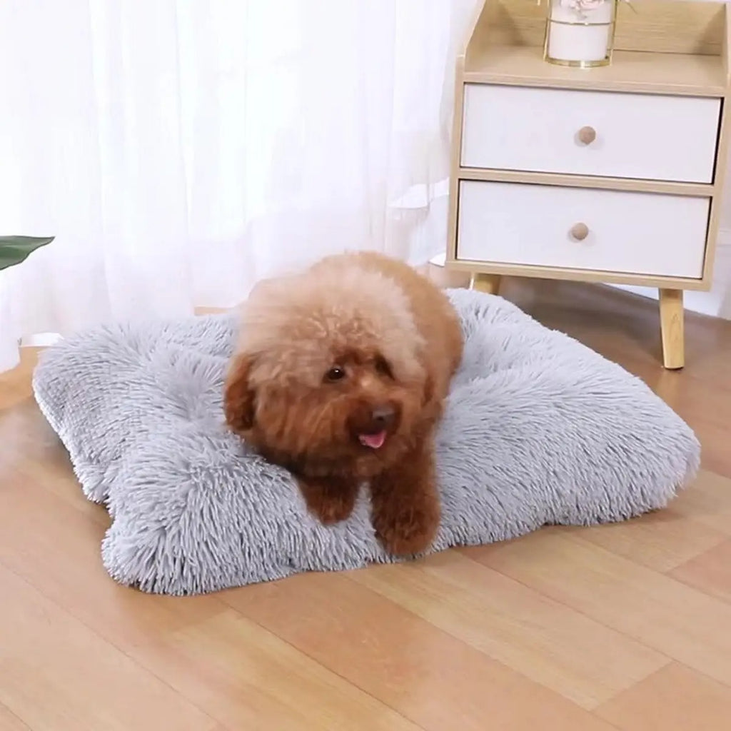 Fluffy Plush Pet Bed Mat for Dogs & Cats_CWMM5281