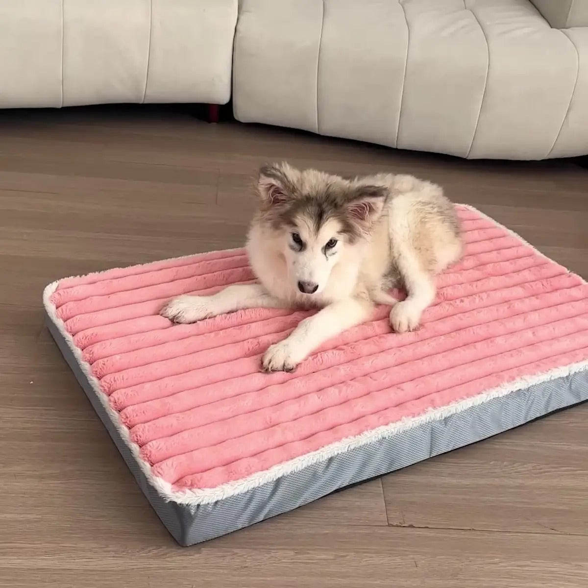 High-Elastic Memory Foam Dog Bed, Washable_CWMM5892