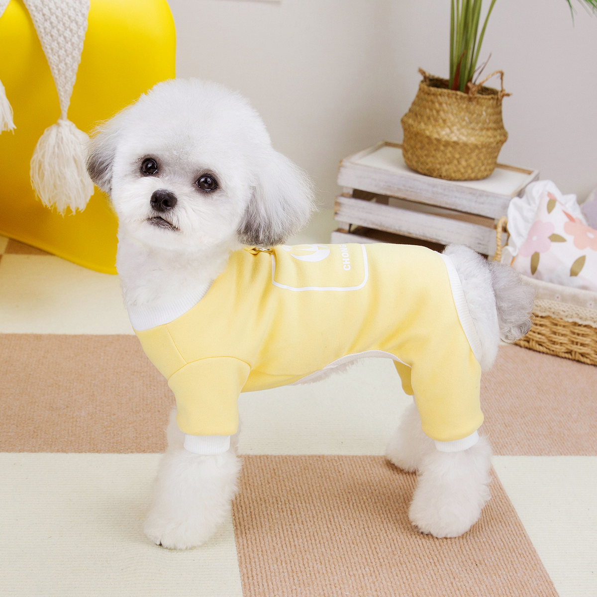 BreezyBuddy Pet Suit – Lightweight Dog Outfit_CWMM6992