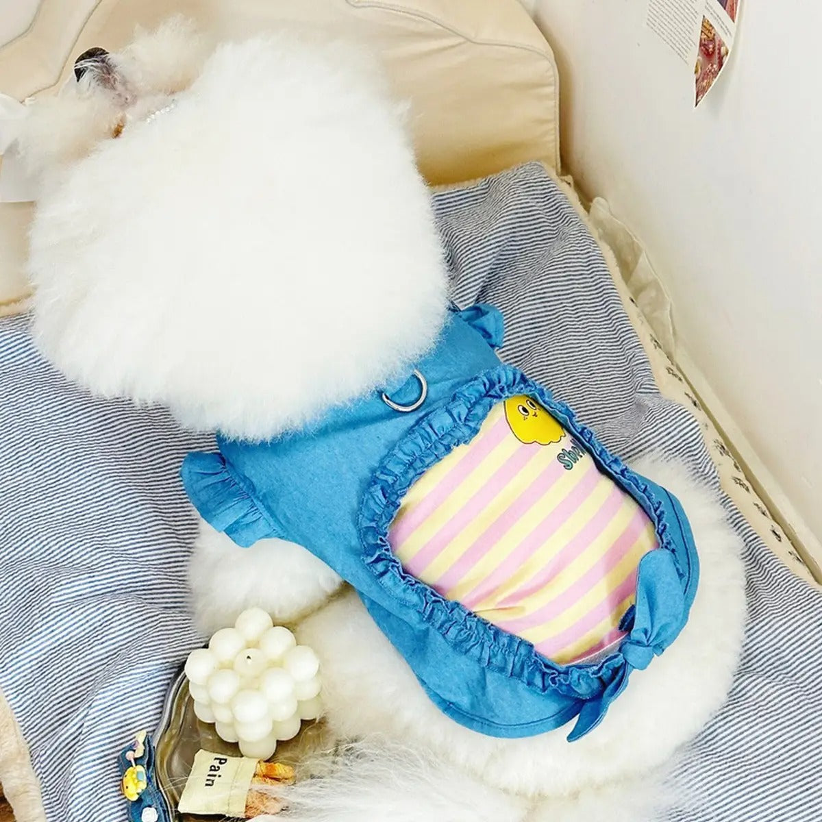 New Denim Cotton Vest for Small & Medium Dogs_CWMM5861