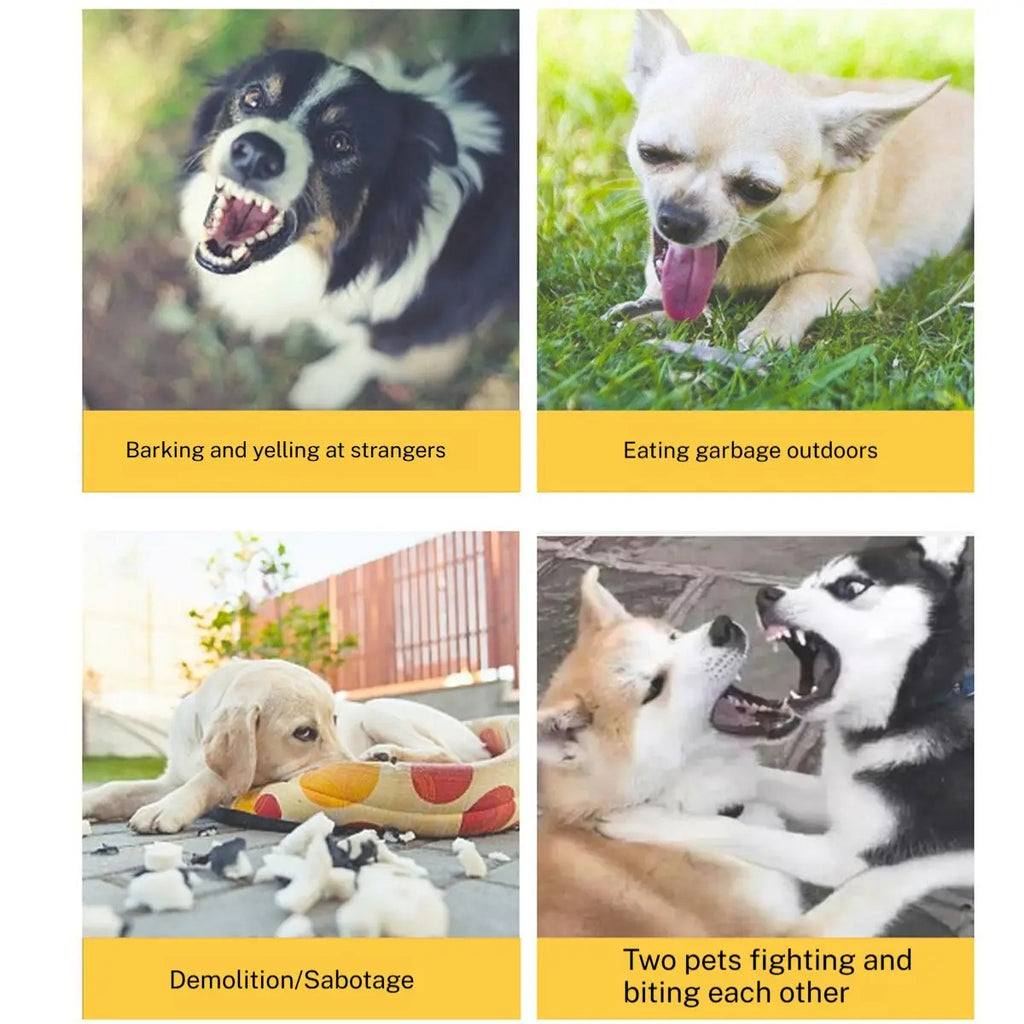 Dog Muzzle for Corgis & Shiba Inu-Anti-Bark & Bite_CWMM7264