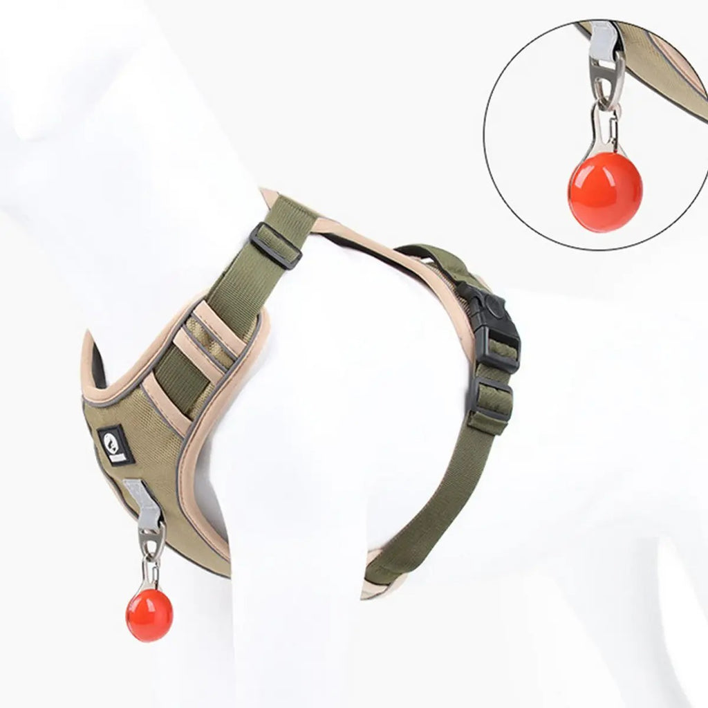 Large Dog Vest Harness for Outdoor Training Use_CWMM7301